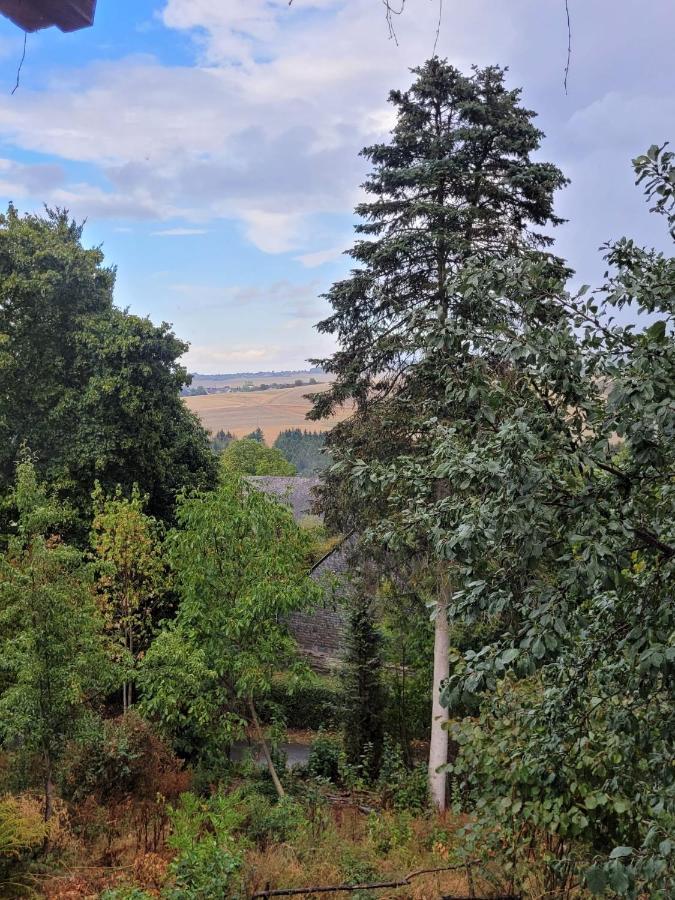 Ruheidylle Weitblick Appartement Kleinich Buitenkant foto
